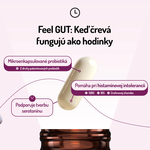 Feel Gut