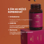 Reishi