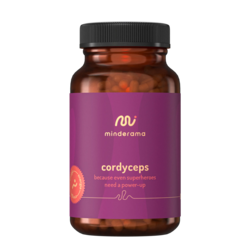 Cordyceps 