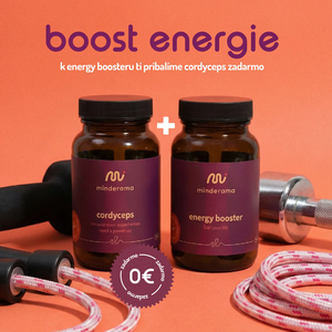 Energy Booster